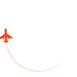 fly