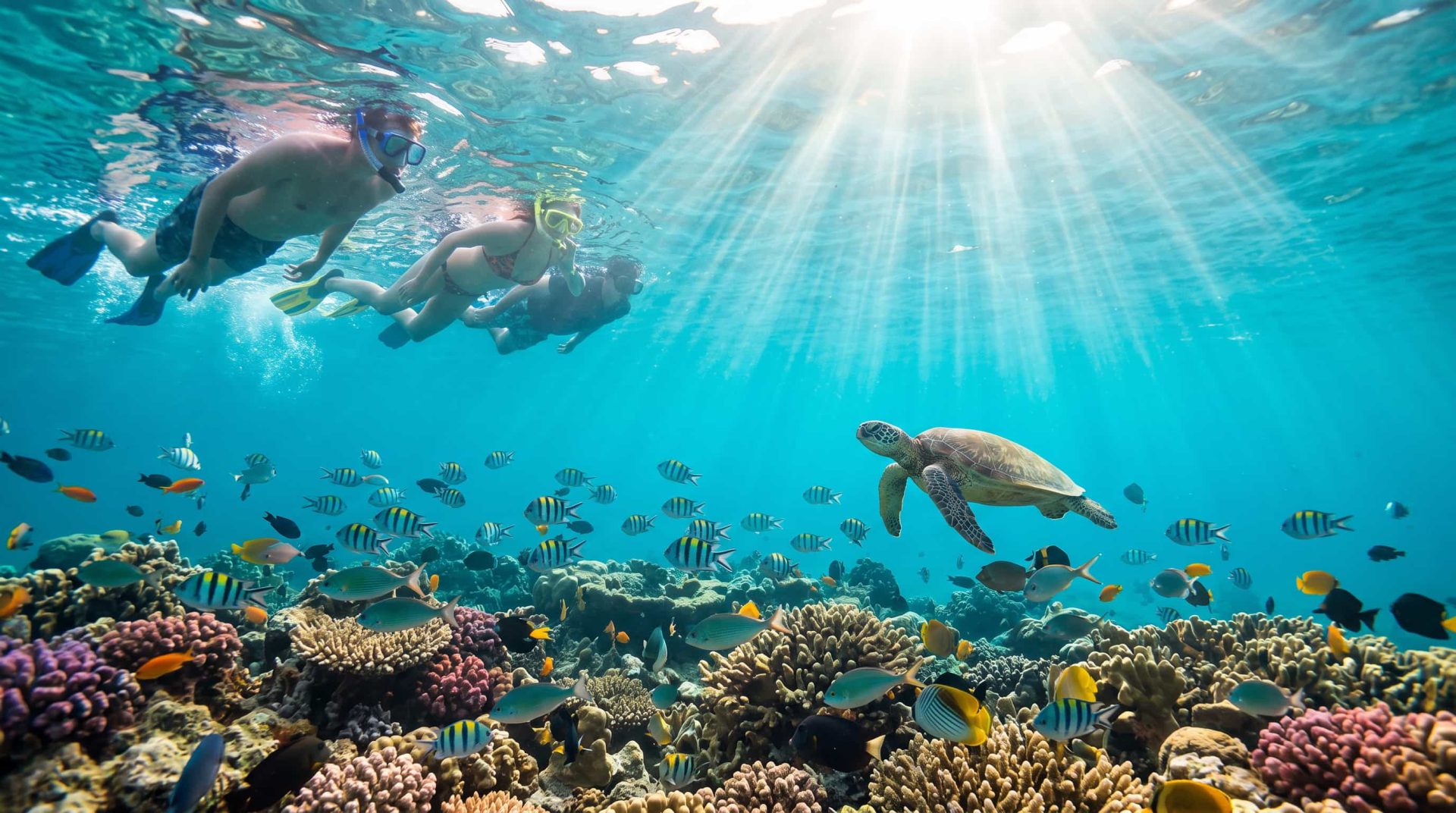 5 Tips Snorkeling Aman & Berkesan Bersama Manta Ray di Labuan Bajo
